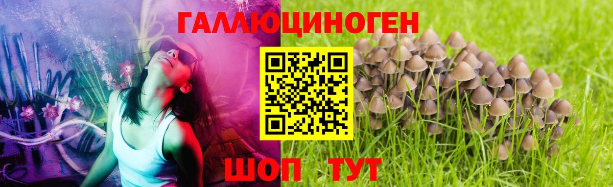 Набережные Челны  Псилоцибиновые грибы MAGIC MUSHROOMS  Псилоцибиновые грибы MAGIC MUSHROOMS  Вход с VPN 
